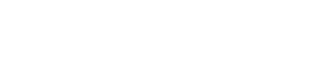 Nascar Logo 1